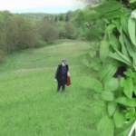 ORGANSKE SREMUŠ KAPI OZREN