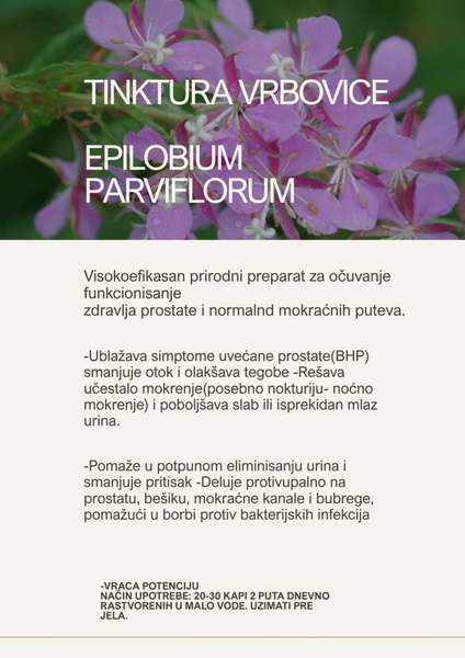 Tinktura vrbovice – Epilobium parviflorum
