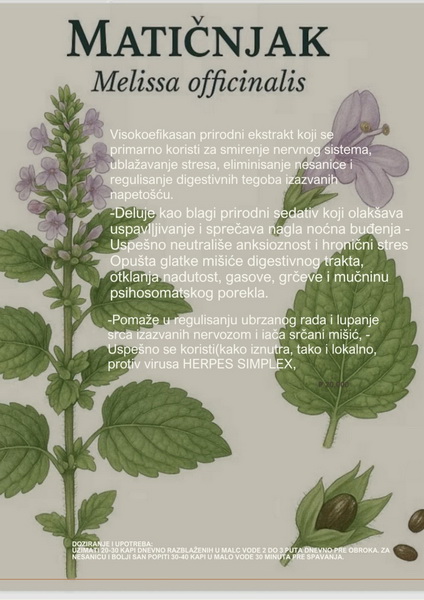 Visokoefikasan prirodni ekstrakt - Matičnjak
